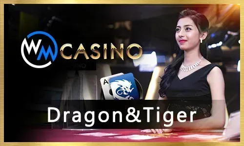 Guide to Online Slots